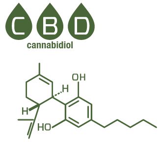 CBD構造