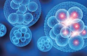 細胞分裂イメージ