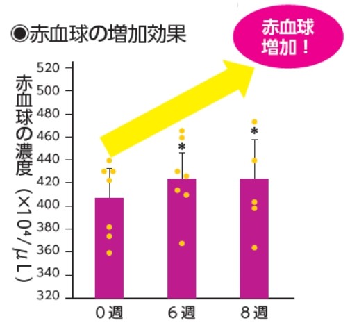 赤血球の増加