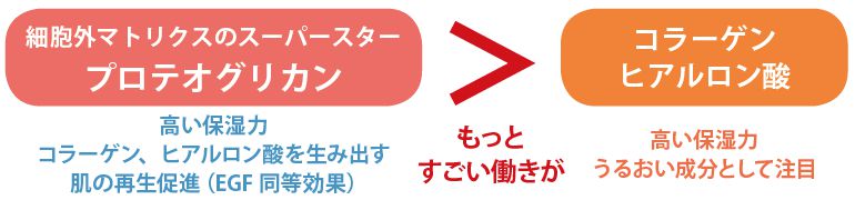 プロテオグリカンとコラーゲン、ヒアルロン酸比較