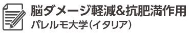 脳のダメージ軽減、抗肥満作用