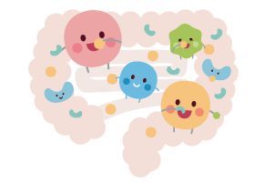 腸と短鎖脂肪酸