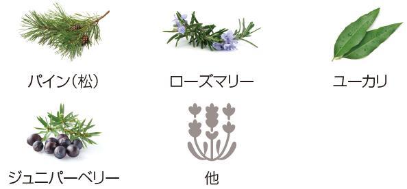 α-ピネン植物源