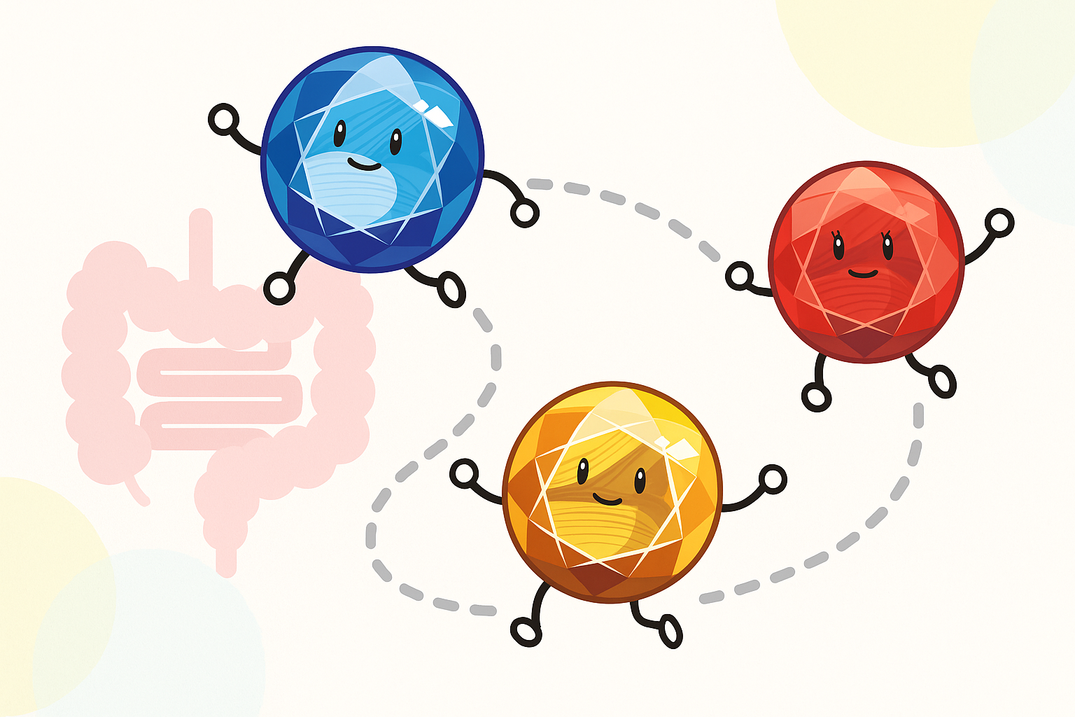 腸から全身へいく短鎖脂肪酸