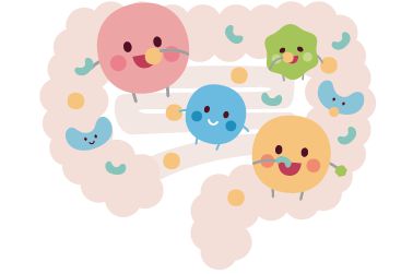 食物繊維やオリゴ糖をエサにして食べる