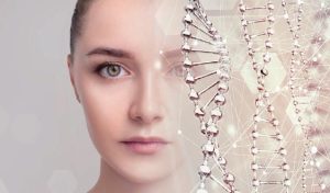 セノックスイメージ