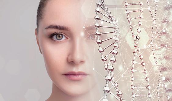 セノックスイメージ