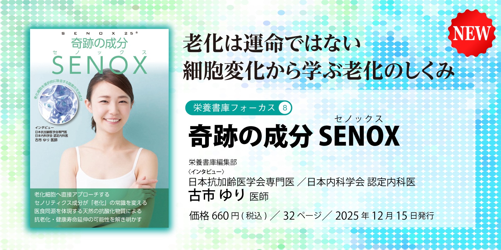 新刊セノックス