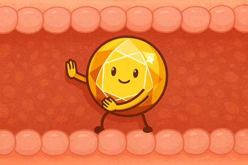 腸の壁を守る酪酸