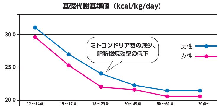 基礎代謝基準値