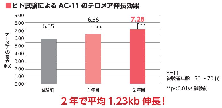 AC-11によるテロメア伸長