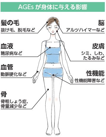 AGEsが身体に与える影響