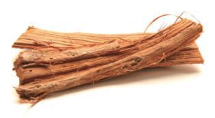 キャッツクロー