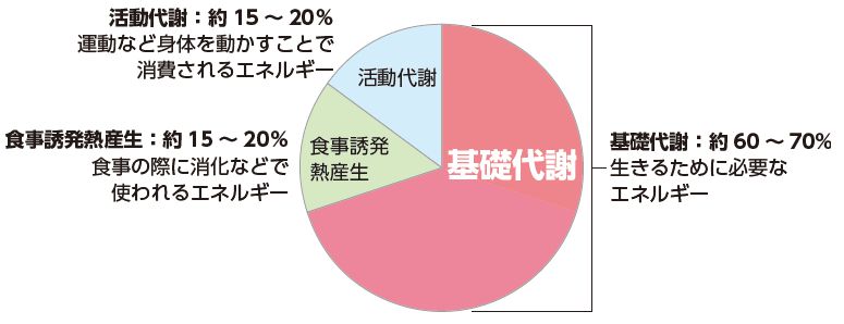 消費エネルギーの種類と割合