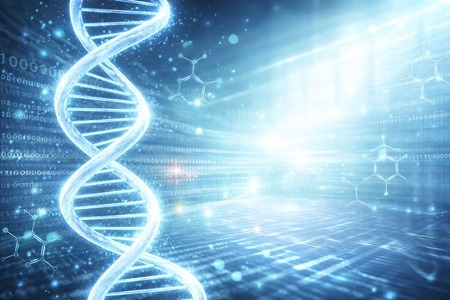 DNA解析イメージ