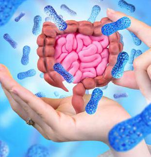 手の上に腸のイメージ