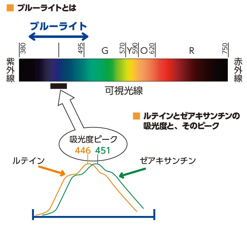 ブルーライトと吸光度