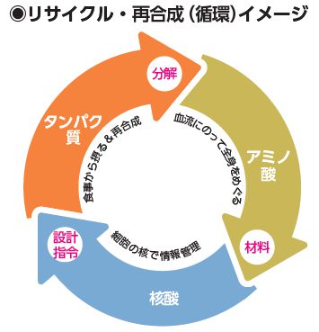 リサイクル、再合成イメージ