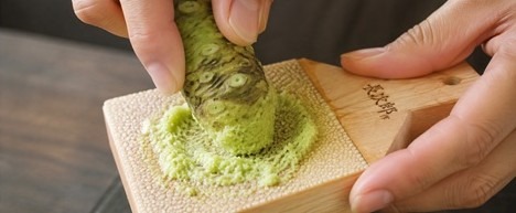 本わさび