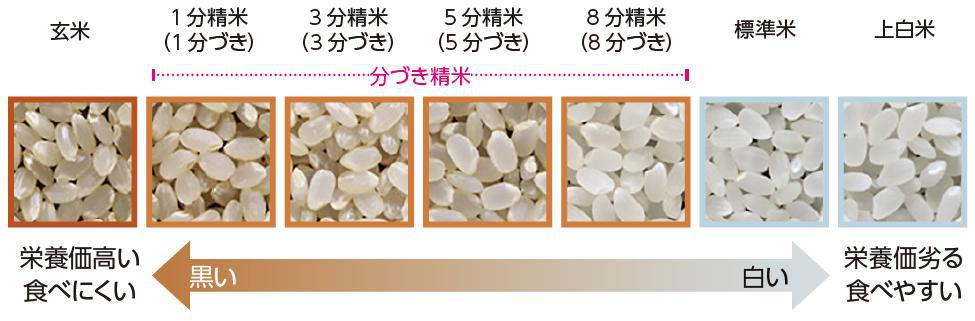 お米にみる精製度の違い
