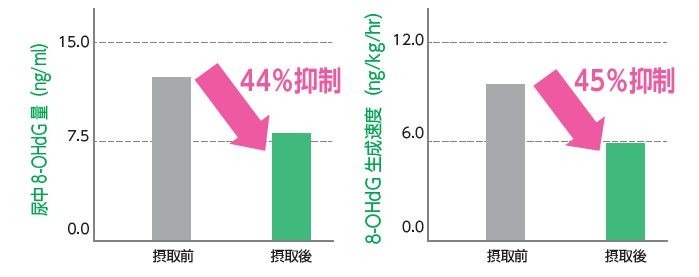 ヒトにおける遺伝子ダメージ抑制