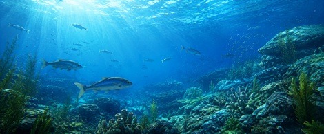太古の海