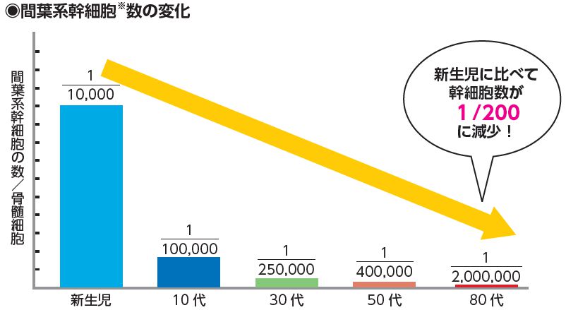 幹細胞は年齢とともに減少
