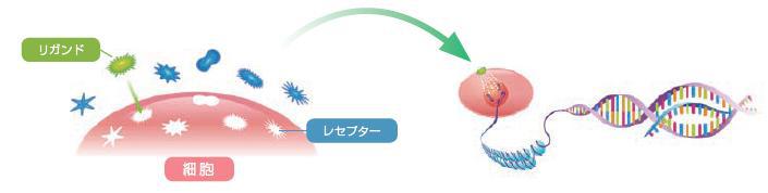 情報伝達