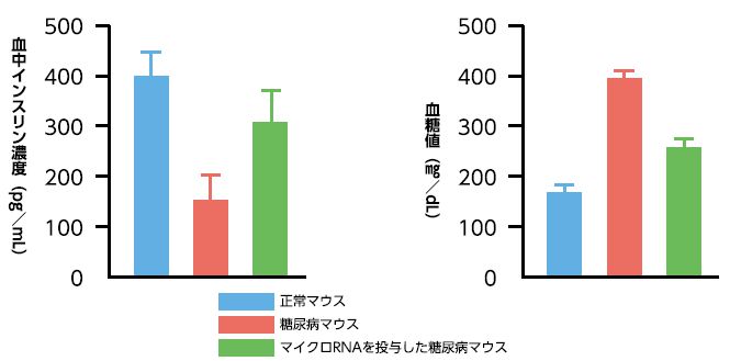 血糖値の推移