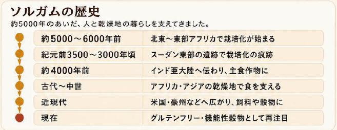 ソルガムの歴史