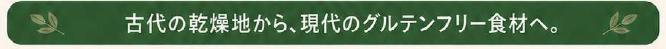 古代の乾燥地から現在のグルテンフリー