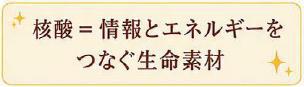 核酸とは