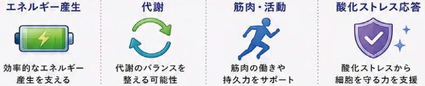 研究が注目するポイント