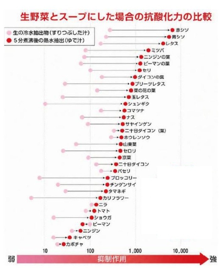 抗酸化力比較グラフ