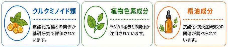 春ウコンに含まれる植物由来成分