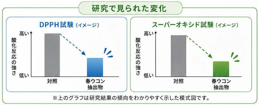 研究で見られた変化