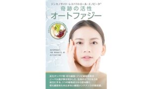 表紙オートファジー