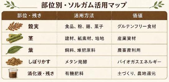 部位別・ソルガム活用マップ