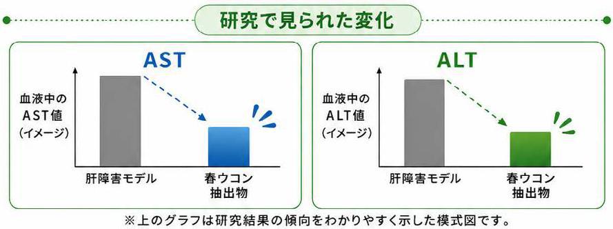 ASTとALTの変化